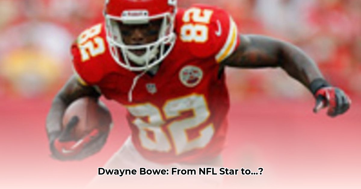 dwayne-bowe-net-worth